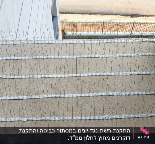 דוקרנים למניעת נחיתת יונים על גג